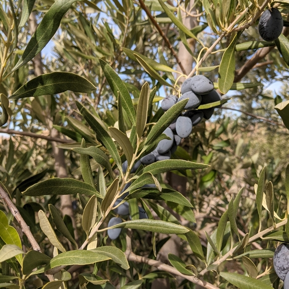 Meet your Posher, Christine - Picture 14 of 14